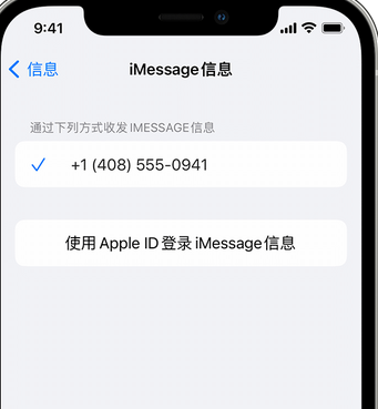 浈江apple维修iPhone上无法正常发送iMessage信息 