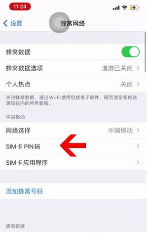 浈江苹果14维修网分享如何给iPhone14的SIM卡设置密码 