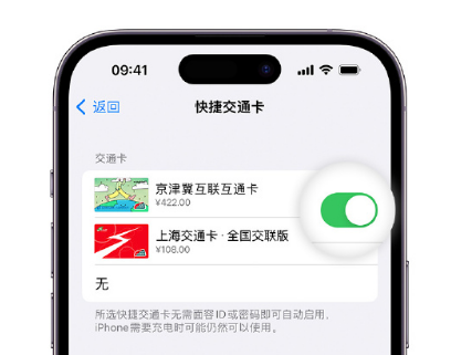 浈江apple维修点分享iPhone上更换Apple Pay快捷交通卡手绘卡面 