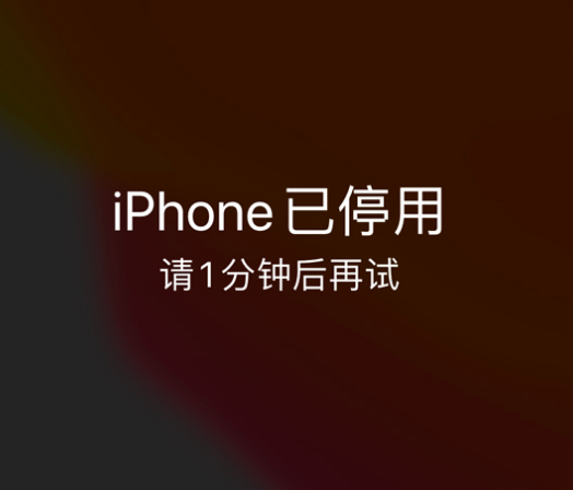 浈江苹果手机维修分享:iPhone 显示“不可用”或“已停用”怎么办？还能保留数据吗？ 