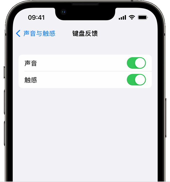 浈江苹果14维修店分享如何在 iPhone 14 机型中使用触感键盘 