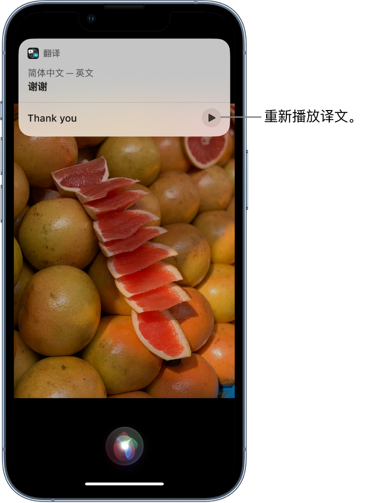 浈江苹果14维修分享 iPhone 14 机型中使用 Siri：了解 Siri 能帮你做什么 