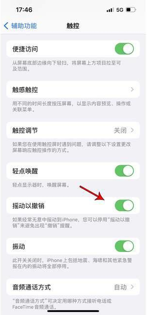 浈江苹果手机维修分享iPhone手机如何设置摇一摇删除文字 